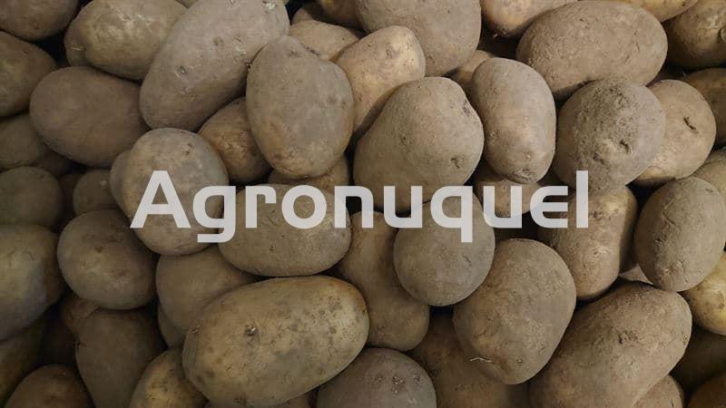 20 kg PATATAS - Imagen 1