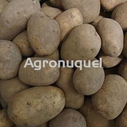 20 kg PATATAS - Imagen 1