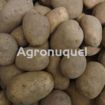 20 kg PATATAS - Imagen 1