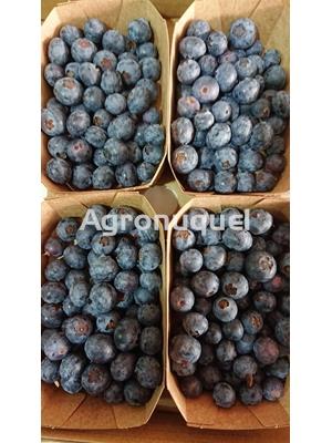 ARÁNDANO ECOLÓGICO 300g - Imagen 1