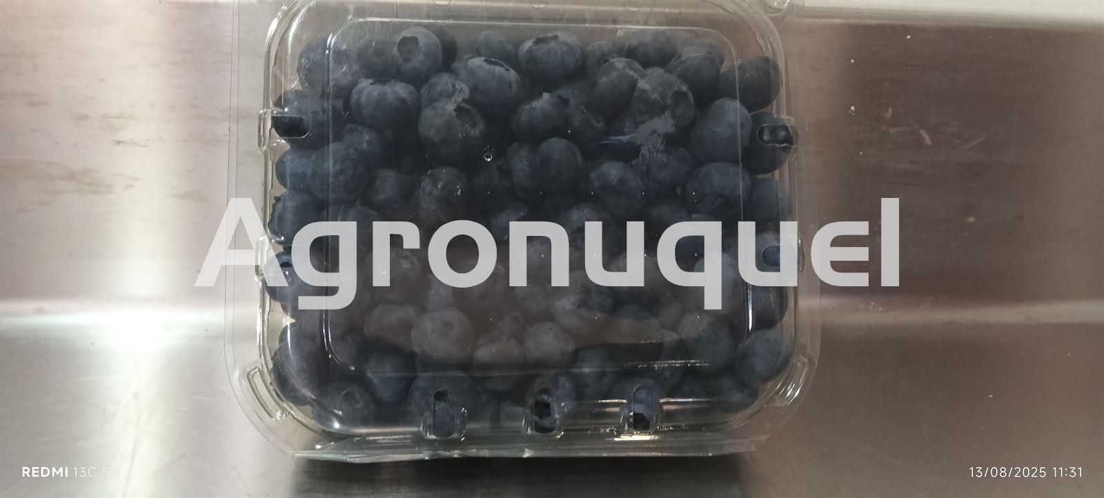 ARÁNDANOS ECOLÓGICOS 250g - Imagen 1