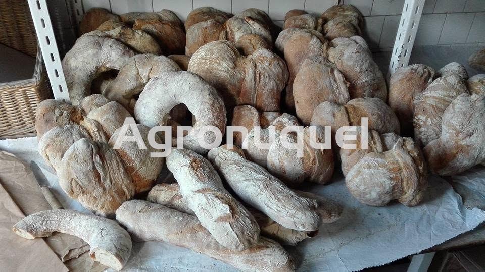 Bollo Redondo 1kg - Imagen 6
