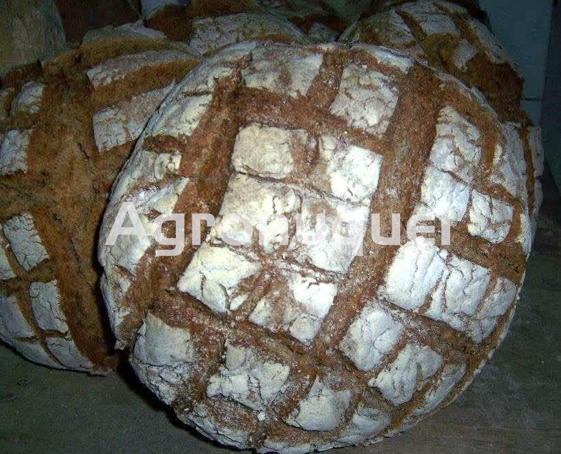 Bollo Redondo 2kg - Imagen 1