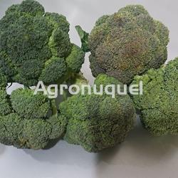 BRECOL ECOLOGICO - Imagen 1