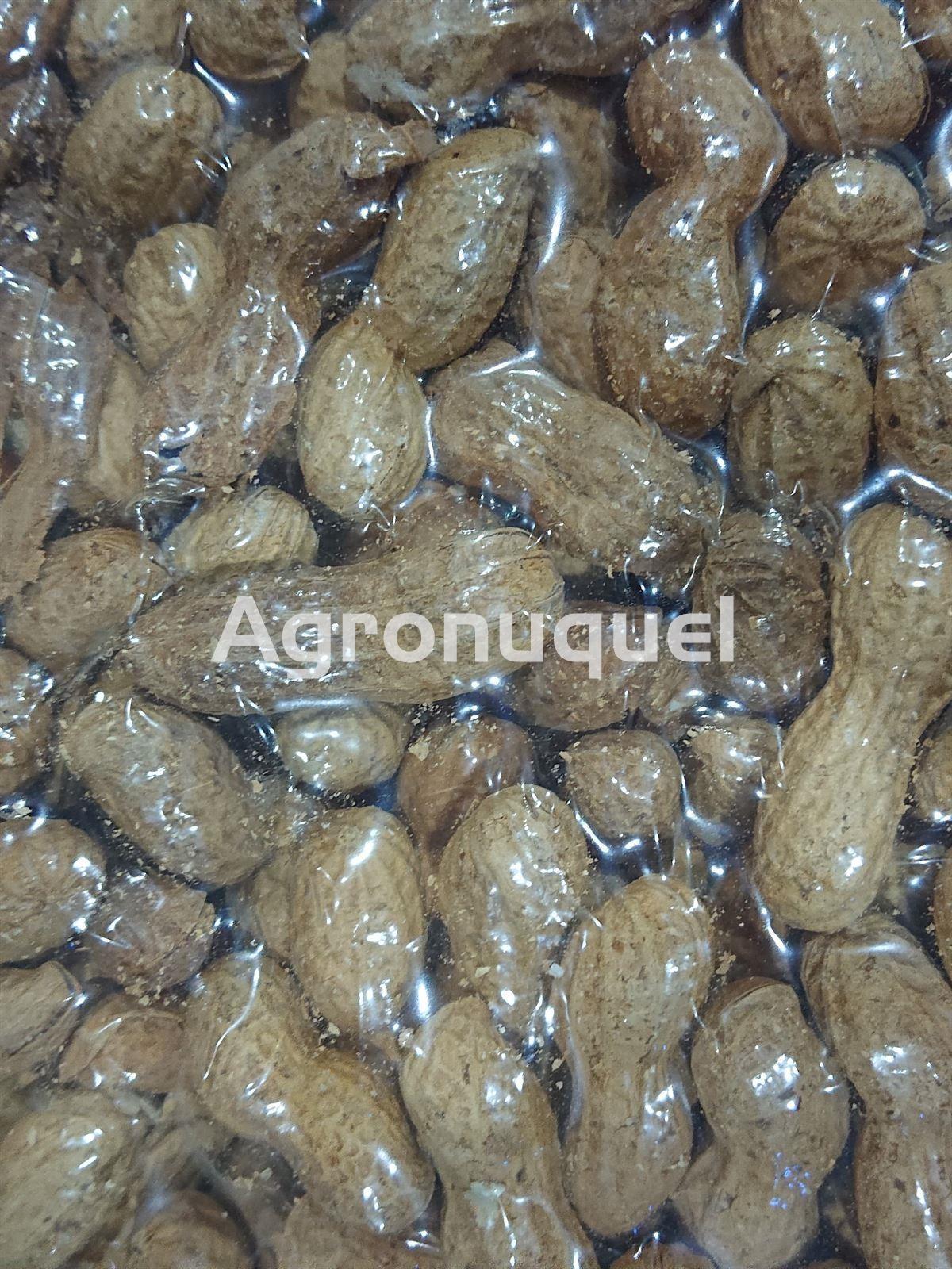CACAHUETE TOSTADO ECOLÓGICO - Imagen 1