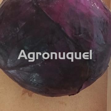 COL LOMBARDA - Imagen 1