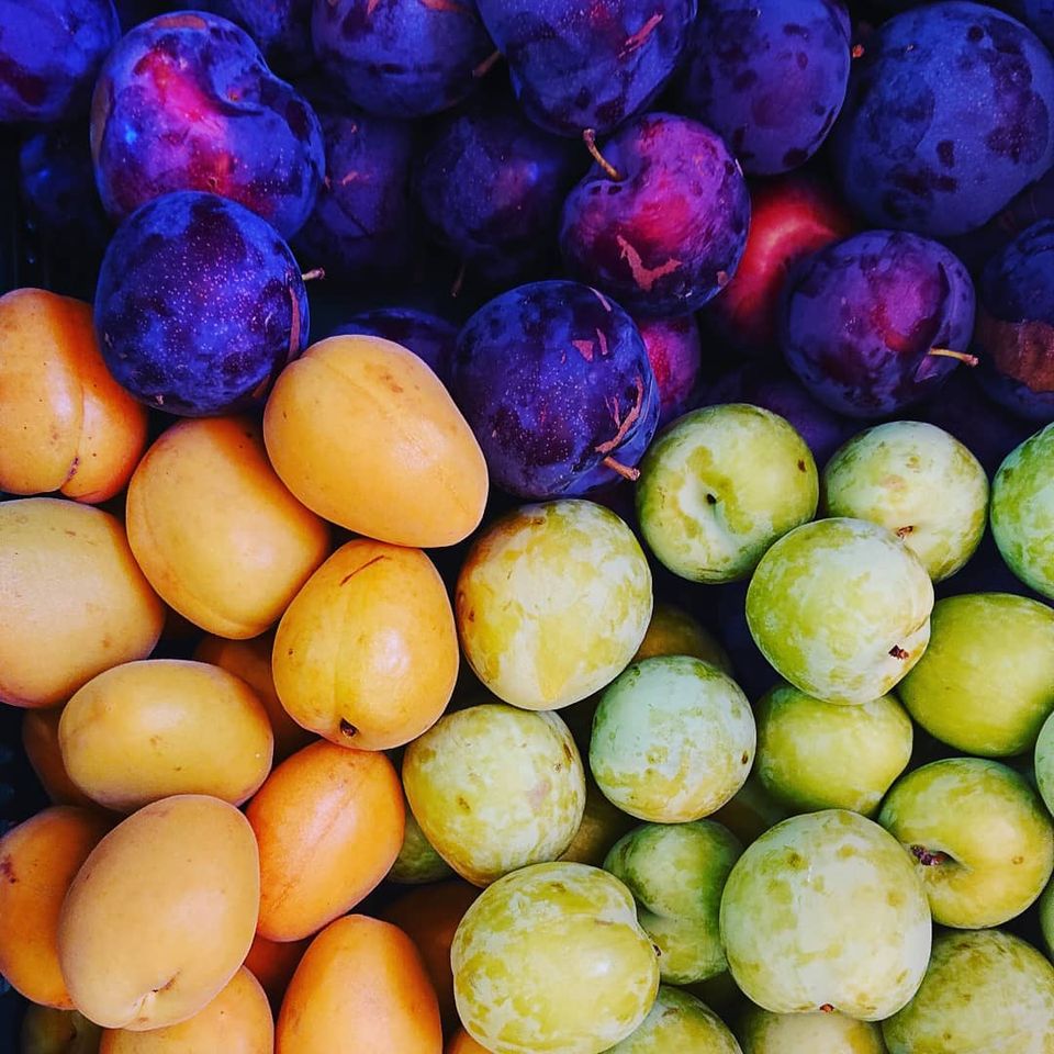 Una amplia selección de productos hortícolas y ecológicos