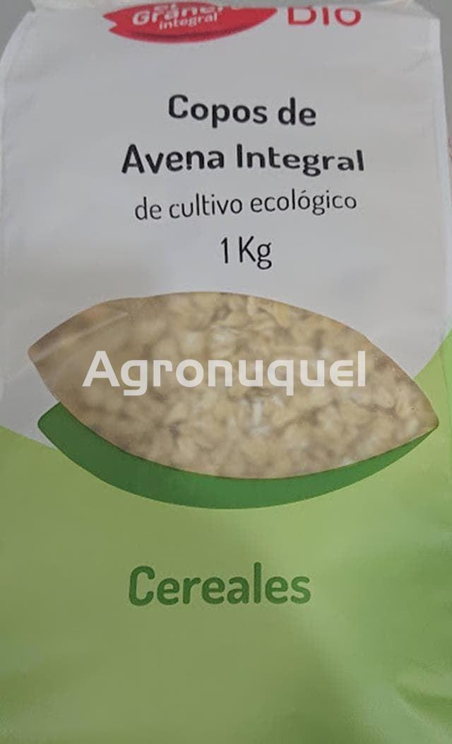 Copos de Avena Integral - Ecológico - Imagen 1