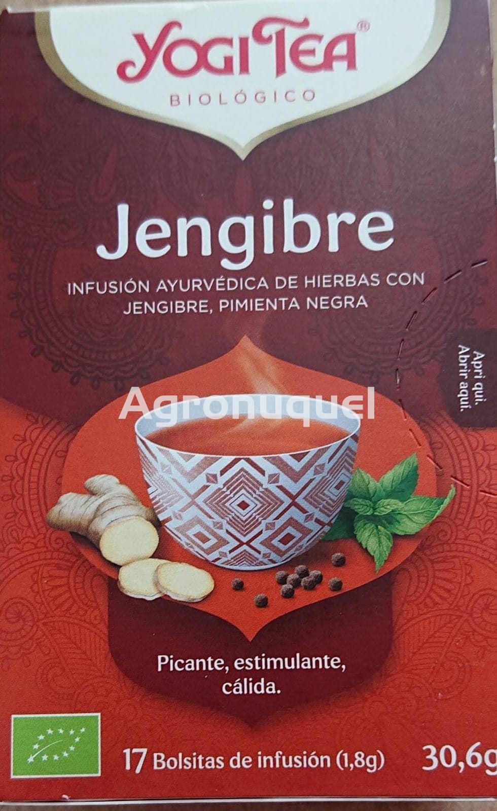 JENGIBRE BIO - Imagen 1