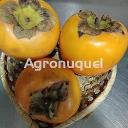 Kaki- Caqui - Imagen 1