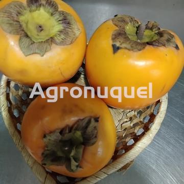 Kaki- Caqui - Imagen 1