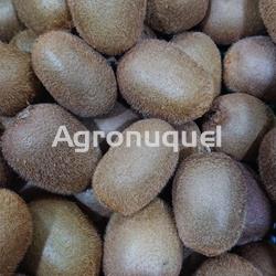 KIWI ECOLÓGICO - Imagen 1