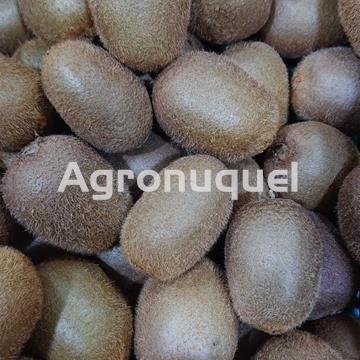 KIWI ECOLÓGICO - Imagen 1