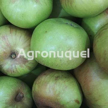 MANZANA PRÍNCIPE - Imagen 1