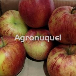 MANZANA ROJA - Imagen 1