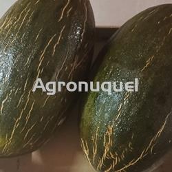 MELÓN - Imagen 1