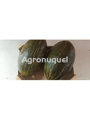 MELÓN - Imagen 1