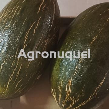 MELÓN - Imagen 1