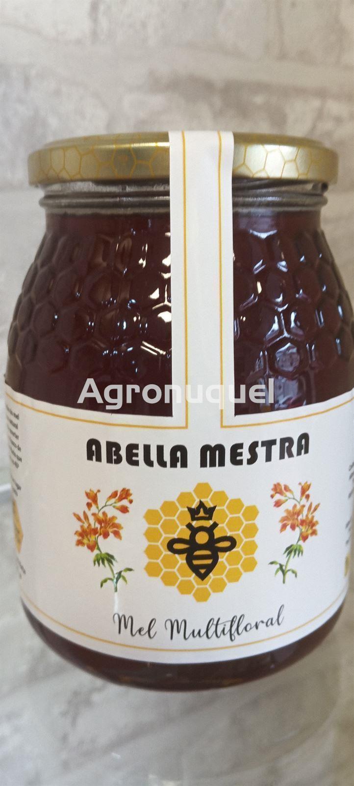 Miel 1 kg - Imagen 2