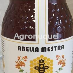 Miel 1 kg - Imagen 2