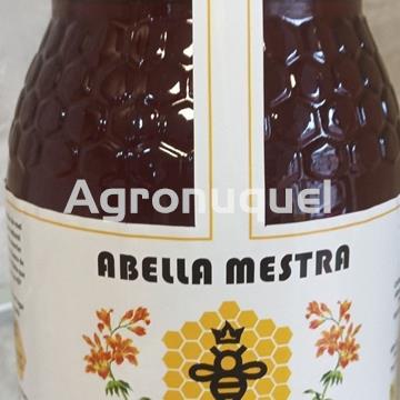 Miel 1 kg - Imagen 2