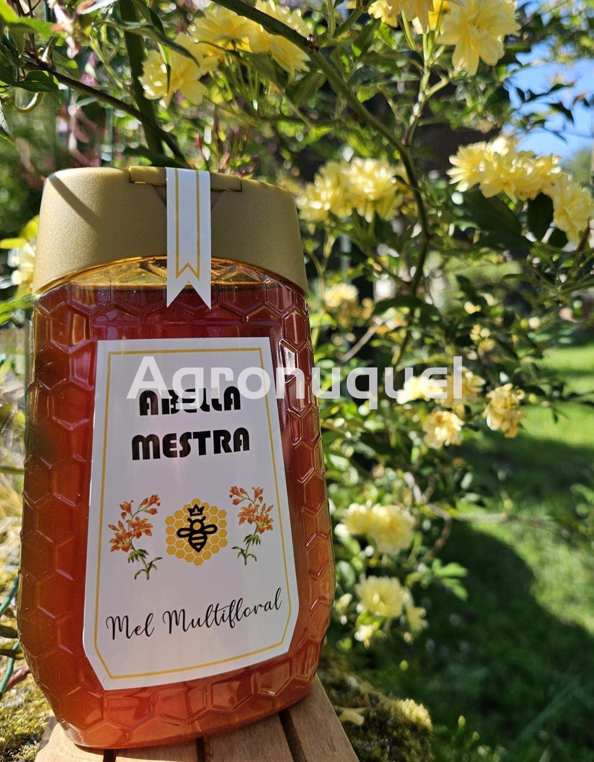 Miel antigoteo 500gramos - Imagen 1