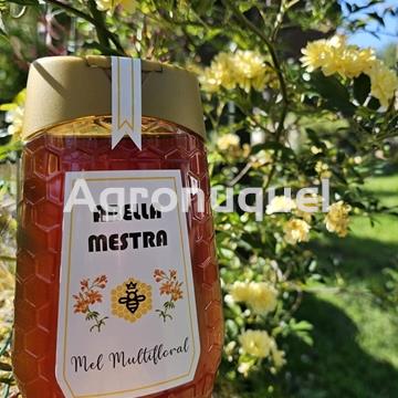 Miel antigoteo 500gramos - Imagen 1