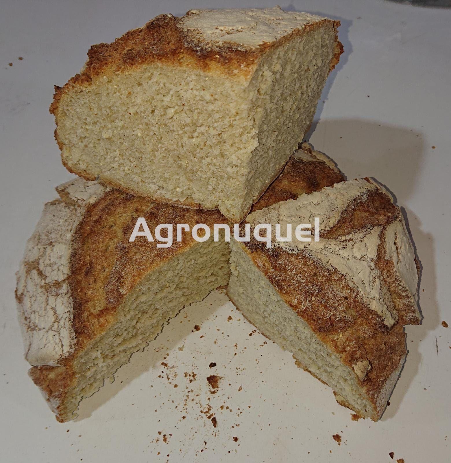 PAN DE MAIZ - Imagen 1