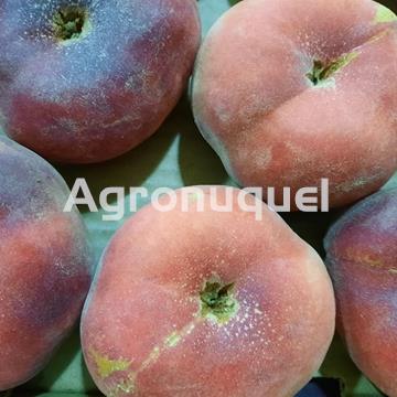 PARAGUAYO - Imagen 1