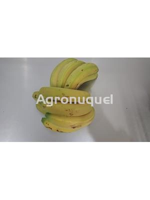 PLÁTANO ECOLÓGICO - Imagen 1
