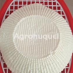 QUEIXO FRESCO DE SILLOBRE - Imagen 1