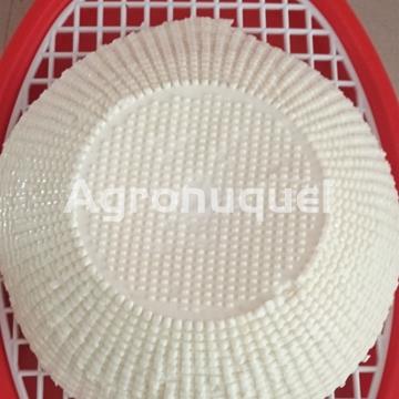 QUEIXO FRESCO DE SILLOBRE - Imagen 1