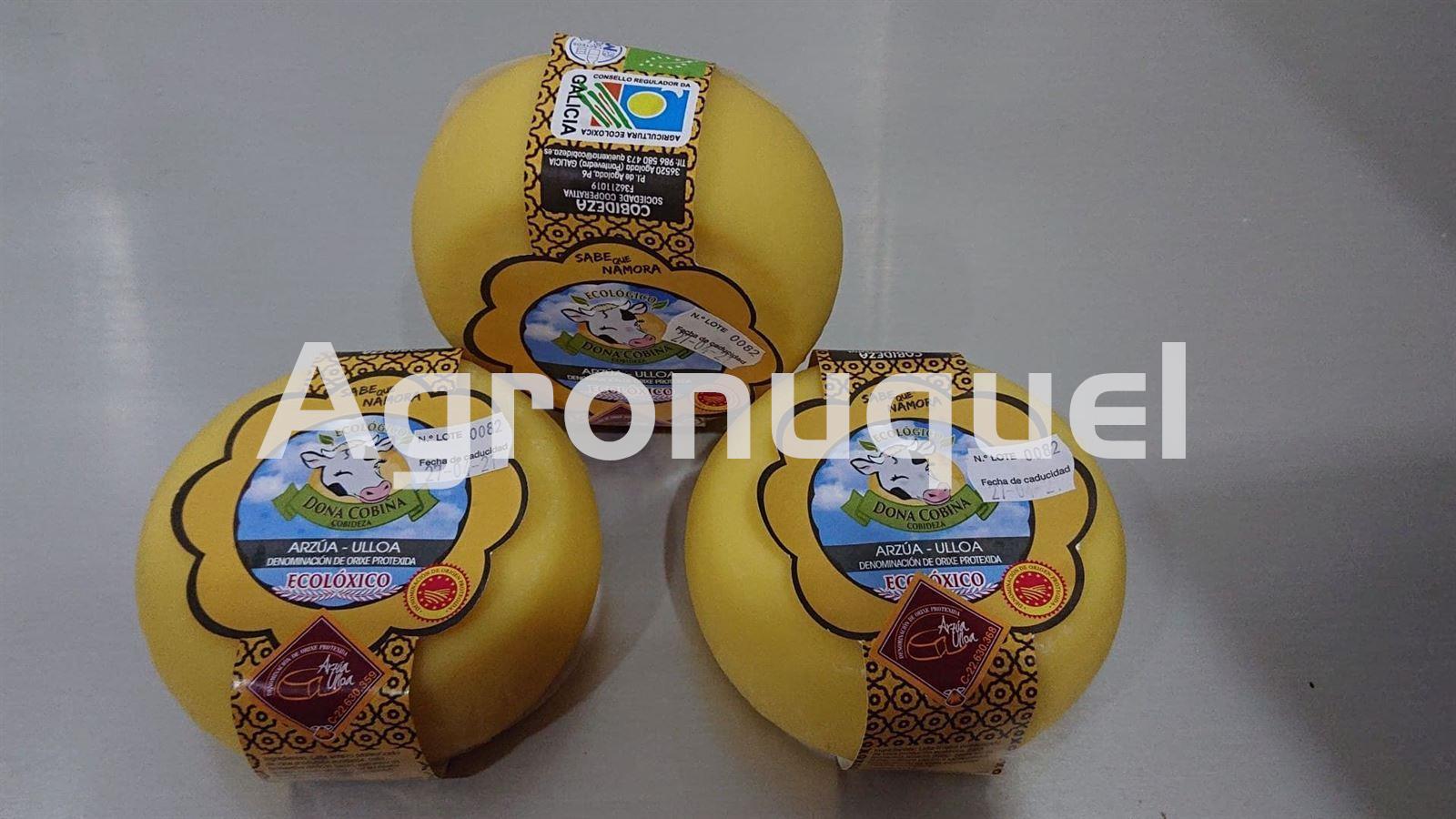 Queso Arzua-Ulloa D.O.P Ecologico - Imagen 1