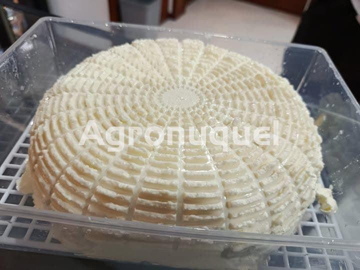 Queso Fresco Sillobre - Imagen 2
