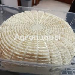 Queso Fresco Sillobre - Imagen 2