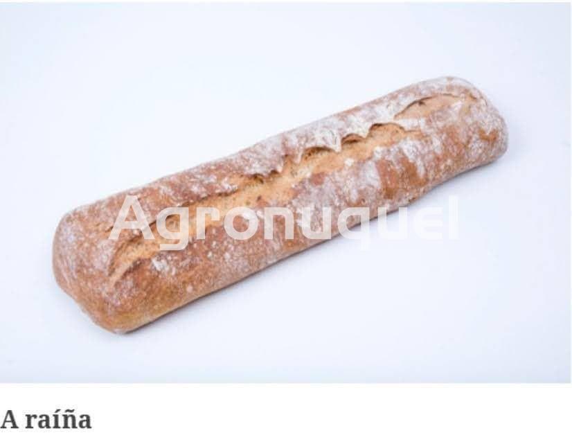 RAIÑA ECO - Imagen 1