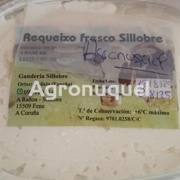 REQUESÓN SILLOBRE - Imagen 1