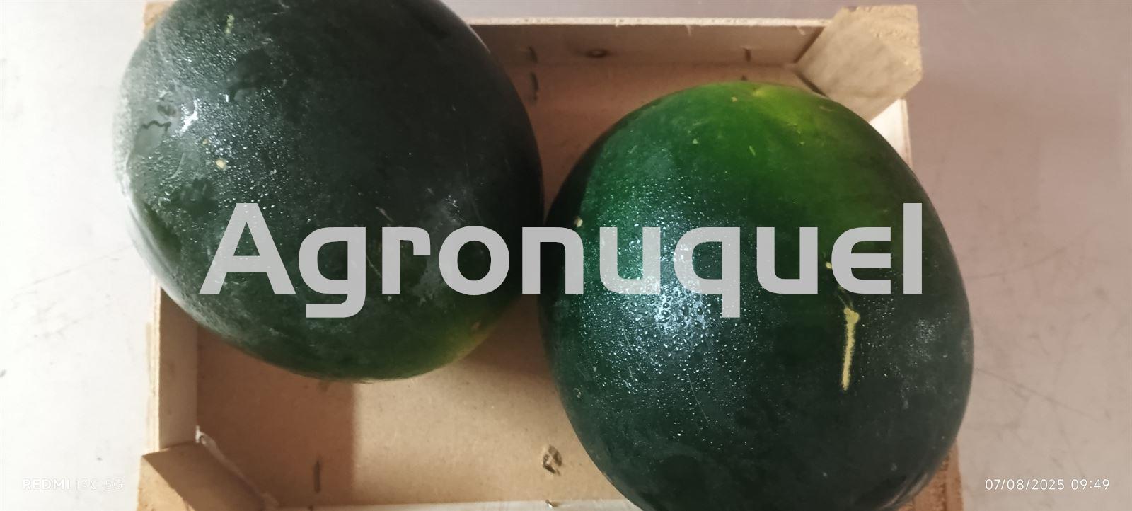 SANDIA - Imagen 1