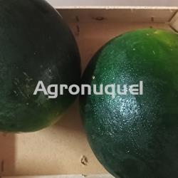 SANDIA - Imagen 1