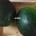 SANDIA - Imagen 1