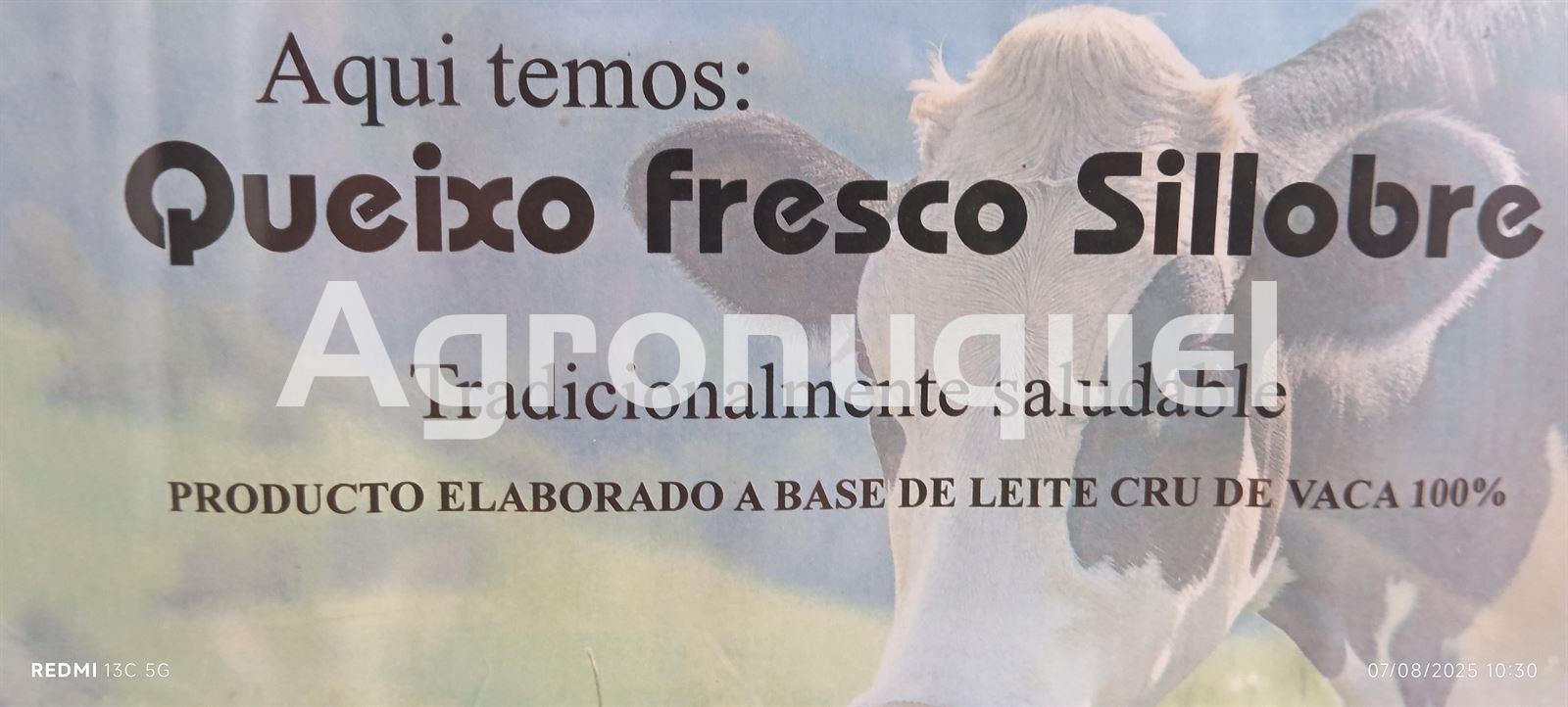 TARRINA QUESO FRESCO 500g - Imagen 1