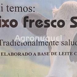 TARRINA QUESO FRESCO 500g - Imagen 1