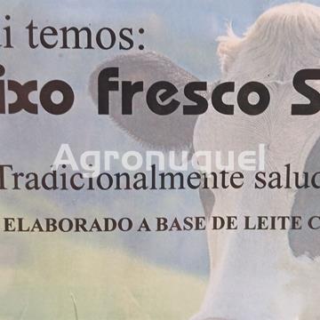 TARRINA QUESO FRESCO 500g - Imagen 1